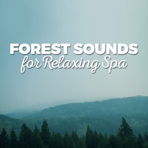 Forest Sounds for Relaxing Spa - Forest Sounds Relaxing Spa Music Singing Birds
