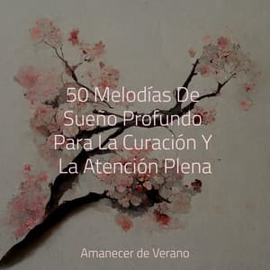 50 Melodías De Sueño Profundo Para La Curación Y La Atención Plena - Study Music & Sounds