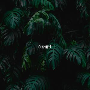 心を癒す - Cooking Background Music