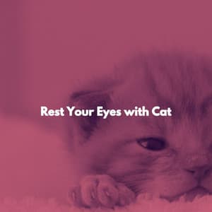 Rest Your Eyes with Cat - Montreal Jazz Classics
