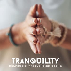 Tranquility: Calming Frequencies - Solfeggio Frequencies 528Hz
