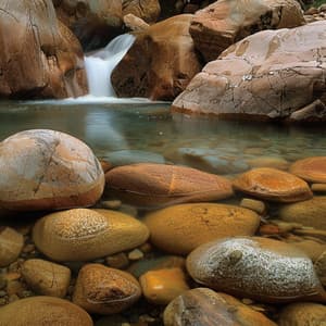 Música A Través Del Tiempo: Armonías Históricas - Plectrasónicos