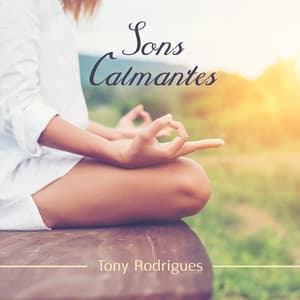 Sons Calmantes - Tony Rodrigues