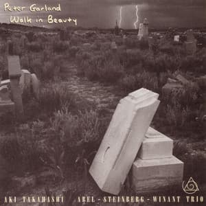 Walk In Beauty - Peter Garland