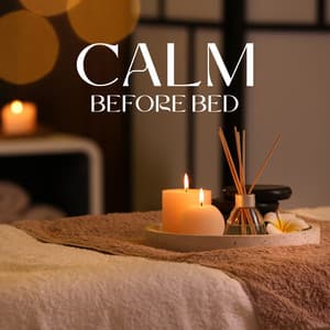 Calm Before Bed - Deep Sleep Hypnosis Masters