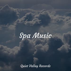 Spa Music - Study Music