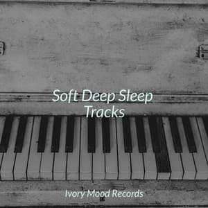 Soft Deep Sleep Tracks - Ivory Mood
