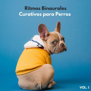 Ritmos Binaurales Curativos Para Perros Vol. 1 - Ritmos Binaurales MT