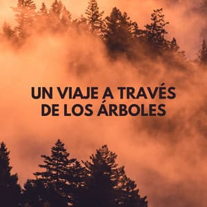 Un Viaje A Través De Los Árboles - Camino del pino