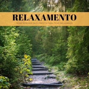 Relaxamento: Sons Serenos Da Floresta Para Ficar Relaxados - Dormir e Meditar