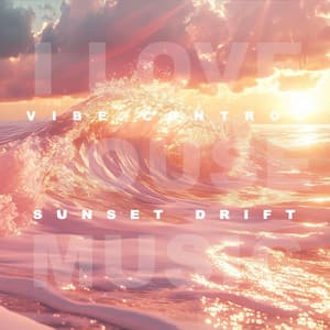 Vibe Control: Sunset Drift - DJ NV