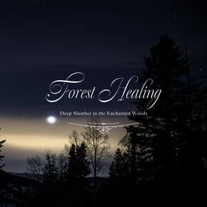眠れる森のヒーリング〜癒しの森で深い眠りへ〜 - Healing Energy