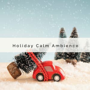 1 0 1 Holiday Calm Ambience - Christmas Baby Lullabies