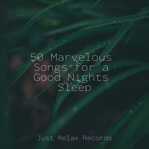 50 Marvelous Songs for a Good Nights Sleep - Musica de Relajación Academy