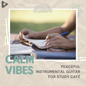 Peaceful Instrumental Guitar for Study Café - Calm Vibes