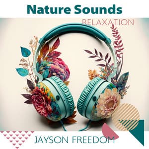 Nature Sounds Relaxation: Hang Music on Nature - Jayson Freedom