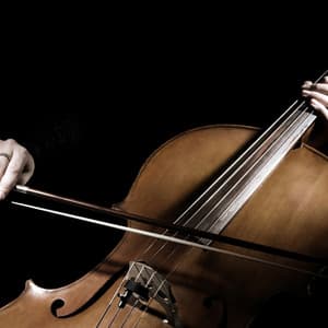 Soothing Orchestra Music for Relaxed Pets - Charles Anderson