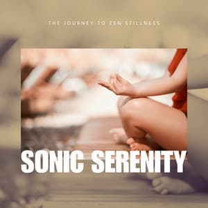 The Journey to Zen Stillness - Sonic Serenity