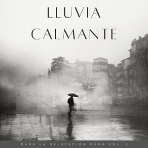 Lluvia Calmante Para La Relajación Pura Vol. 1 - Efectos especiales de lluvia del bosque