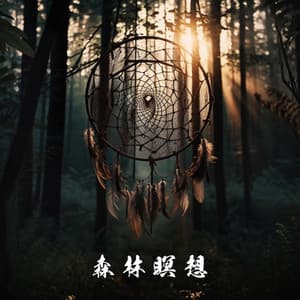 森林瞑想: マインドフルネスの実践に自然を取り入れる - Mindfulness Meditation Unit