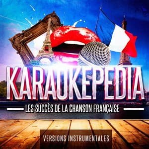 Karaokepedia : les grands succès de la chanson française en version karaoké instrumentale - Karaoké Playback Français