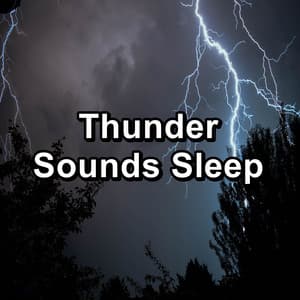 Thunder Sounds Sleep - ASMR Rain Sounds