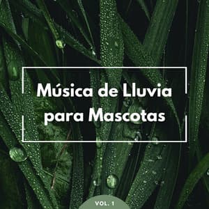 Música: Música De Lluvia Para Mascotas Vol. 1 - Olivia Lluvia