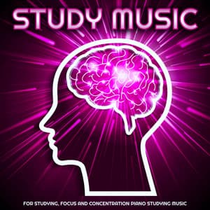 Study Music For Studying, Focus and Concentration Piano Studying Music - Study Music