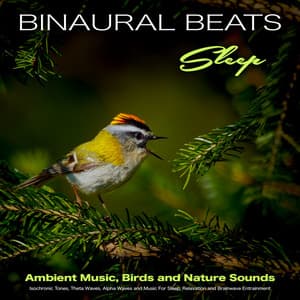 Binaural Beats Sleep - Ambient Music, Birds and Nature Sounds - Isochronic Tones, Theta Waves, Alpha Waves and Music For Sleep, Relaxation and Brainwave Entrainment - Binaural Beats Sleep