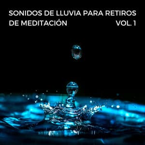 Sonidos De Lluvia Para Retiros De Meditación Vol. 1 - Lluvia