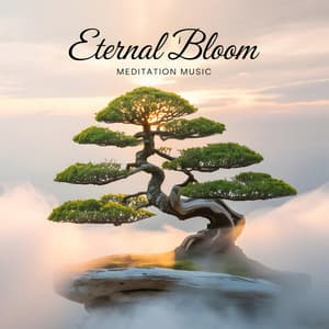 Eternal Bloom Calming Meditation Music For Deep Sleep And Relaxation - Meditation Music
