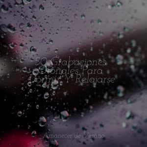 50 Grabaciones Otoñales Para Dormir Y Relajarse - Ambiente