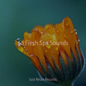 50 Fresh Spa Sounds - Calm Music for Studying