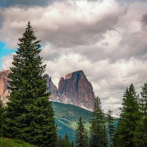 1 Atmosphere: Breathing Deep - Nature Sound Collection