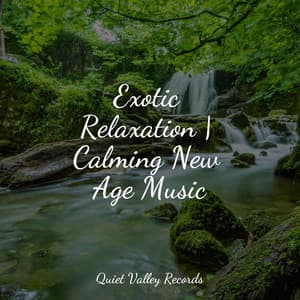 Exotic Relaxation | Calming New Age Music - Rain Sounds & White Noise