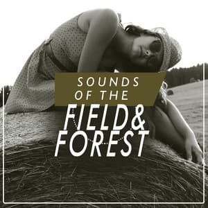 Sounds of the Field and Forest - Healing Sounds for Deep Sleep and Relaxation