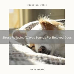Stress Relieving Waves Sounds For Beloved Dogs - Pets Relax