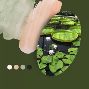 Calming Moments - Cute - Musica da Lavoro