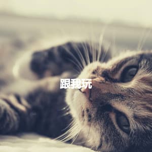 跟我玩 - Classic Relaxing Jazz