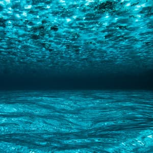 50 Ambient Ocean Songs: Crystal Stream Sleep Therapy - Sea Waves Sounds