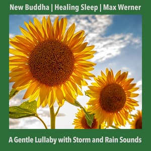 A Gentle Lullaby with Storm and Rain Sounds - New Buddha
