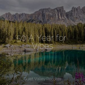 50 A Year for Vibes - Sleep Sounds