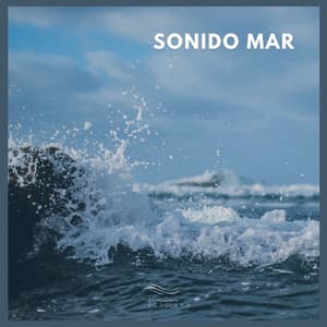 Sonido Mar - Sonidos De Agua
