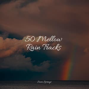 50 Mellow Rain Tracks - Nature's Symphony