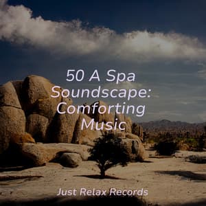 50 A Spa Soundscape: Comforting Music - Powerthoughts Meditation Club