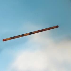 Silent Flute II: Toward the Celestial Palace - Rakesh Chaurasia