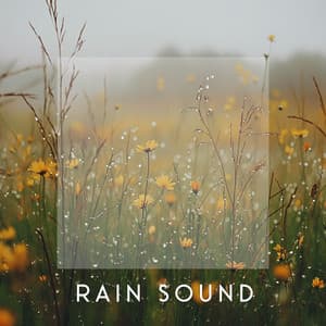 Sleep Sounds - Rain Sounds For Sleep