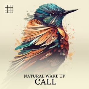 #01 Natural Wake Up Call - Forest Sounds