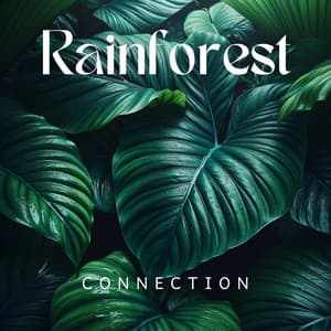 Rainforest Connection: Reconnecting with Nature's Rhythms and Energies - Nature and Rain