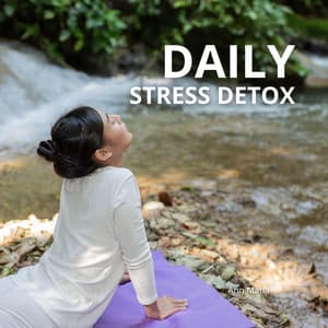Daily Stress Detox - Ann Matia